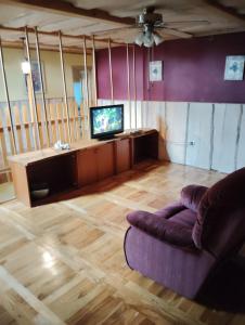 a living room with a purple couch and a tv at Ferienhaus im Goldenen Dreieck von Tschechien in Horní Pertoltice