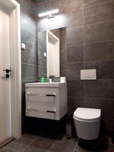 Kúpeľňa v ubytovaní Apartman a Kékszalag sétányon