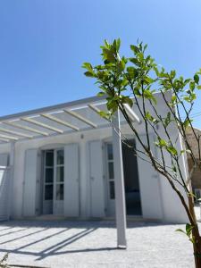a white house with a tree in front of it at Gaia - TCupStudios in Kythira +5 photos