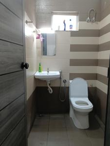 a bathroom with a white toilet and a sink at Rohini Homestay & Serviced Villa-Explore Alleppy in Alleppey