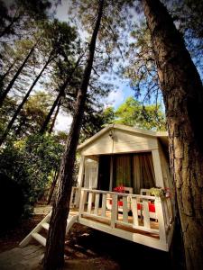 a small white cabin in the woods with trees at Pine Hill Villas & Camping in Hanoi