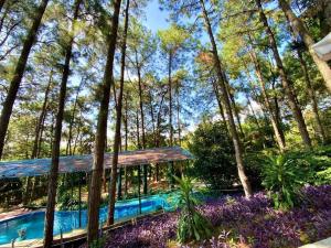 a house in the woods with purple flowers at Pine Hill Villas & Camping in Hanoi