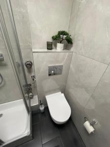 ein Badezimmer mit Toilette und Dusche in der Unterkunft Exklusive Moderne Wohnung Hanau in Hanau am Main + 3 Fotos
