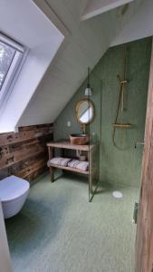 a bathroom with a toilet and a sink and a mirror at Koppes Mølle B&B - naturnær overnatning in Borup +98 photos