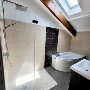 a bathroom with a shower and a toilet and a sink at Gîtes spacieux avec jardin in Chérisey +24 photos