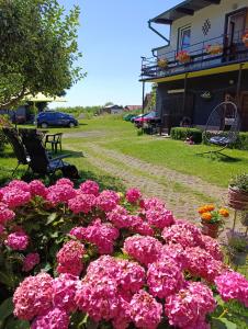 a bunch of pink flowers in front of a house at Miętowa Przystań in Mielno