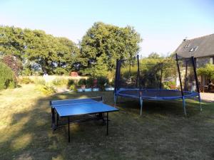 a blue ping pong table in a yard at Caravan du Loch in Gaël +6 photos