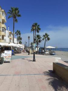 a beach with palm trees and a street light at Beautiful Beachfront Newly Renovated 2 Bedroom Apartment with Swimming Pool and Garden in San Luis de Sabinillas