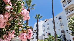 a row of palm trees and pink flowers in front of a white building at Beautiful Beachfront Newly Renovated 2 Bedroom Apartment with Swimming Pool and Garden in San Luis de Sabinillas