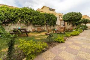Κήπος έξω από το The Grand Pyramids View Hotel