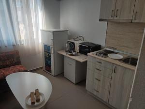 Kuchyň nebo kuchyňský kout v ubytování Guest room 69 Zdrave