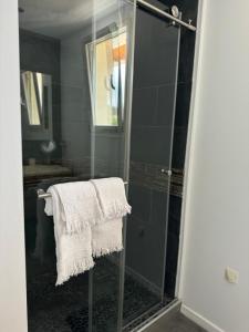 a bathroom with a glass shower with a towel at Casa La Vista in Bastia +29 photos