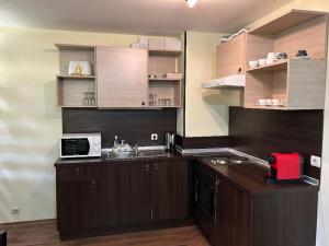 eine Küche mit einer Spüle und einer Mikrowelle auf der Theke in der Unterkunft Dreamroom Bansko in Bansko