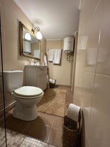 a bathroom with a toilet and a sink and a mirror at La Mosie in Corbu +89 photos