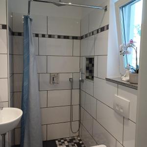a bathroom with a shower and a sink at Kleine Wohnung in Bad Schwartau in Bad Schwartau