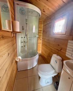 a small bathroom with a toilet and a shower at Domki u Haliny in Przewłoka +9 photos