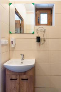 a bathroom with a sink and a mirror at Apartmány U Pivoněk in Bělá pod Pradědem +25 photos