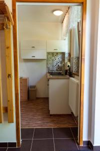 Kuchyň nebo kuchyňský kout v ubytování Apartmány U Pivoněk + 28 fotografií