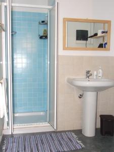a bathroom with a sink and a shower at La stufa rossa in Sondrio