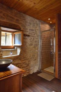 a bathroom with a shower and a sink at Gites&chambres d hôtes Les granges du Fournel in Saint-Lattier
