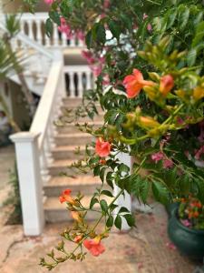 Κήπος έξω από το Lidas Golden View-All around veranda apartment