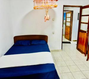 Postel nebo postele na pokoji v ubytování Bird House Homestays