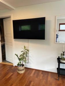 a flat screen tv on a wall with a plant at Hyggelig lille lejlighed in Tórshavn