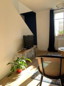 a living room with a tv and a table with a plant at Maison de village la digue in Fabrègues