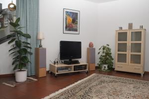 ein Wohnzimmer mit einem TV auf einem Stand in der Unterkunft Fewo Steuer in Traben-Trarbach