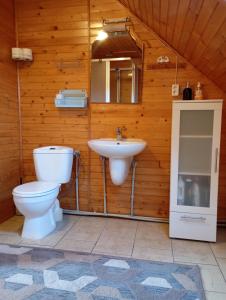 a bathroom with a toilet and a sink at Agroturystyka Osada Leśna in Piecki +5 photos