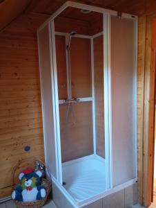 a shower with a glass door in a room at Agroturystyka Osada Leśna in Piecki