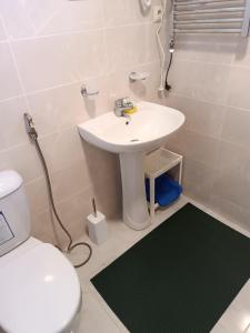 a bathroom with a white sink and a toilet at Alternative in Shekvetili