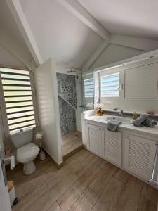 Baie NettleにあるLOFT Côté mer Nettle Bay Beach Clubのトイレ、洗面台、シャワー付きのバスルーム