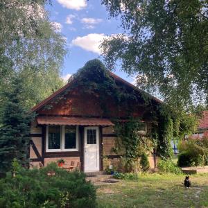 a small house with a dog in front of it at Letnia Oficyna in Okoniny Polskie