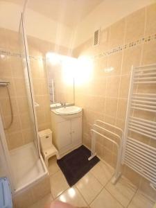 un bagno con lavandino, doccia e WC di Charmant Studio Le Lioran - Tour Sumène a Laveissière