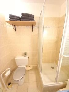 un piccolo bagno con wc e doccia di Charmant Studio Le Lioran - Tour Sumène a Laveissière Altre 8 foto
