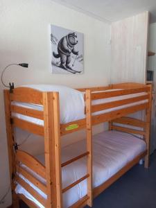 un letto a castello con l'immagine di un gorilla sul muro di Charmant Studio Le Lioran - Tour Sumène a Laveissière