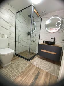 Un baño con ducha, lavabo e inodoro. en Vila Dani&Marina, en Porumbacu de Sus