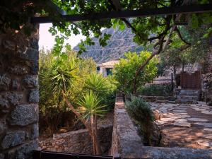 a garden with palm trees and a stone wall at Villa Oraia Verga Kalamata in Kalamata
