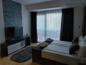 a bedroom with a large bed and a large window at City Center Ohrid Vrshkovski Apartment in Ohrid