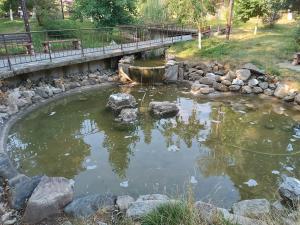 a pond in a park with a bridge over it at Студио Еми in Chepelare