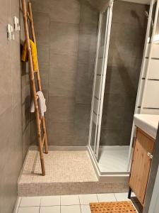 La salle de bains est pourvue d'une douche avec une échelle. dans l'établissement Hypercentre - Beau T2 - Gare Lille Flandres - VIDA LOC, à Lille