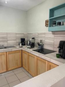 a kitchen with a sink and a counter top at Budgie's 2 Studio in Cozumel
