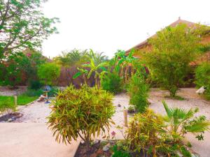 Billede fra billedgalleriet på Villa Taslima i Nianing