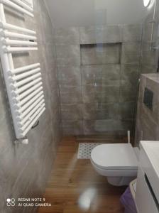 a small bathroom with a toilet and a window at Apartament i pokoje na Sosnowej in Ostrowo +33 photos