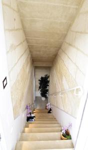 una scala che porta a un edificio fiorito di Dimora di Mezzo a Castro di Lecce