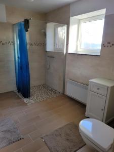 ein Badezimmer mit Dusche, Toilette und Fenster in der Unterkunft Ferienhaus Bartelshagen 1 in Marlow + 17 Fotos