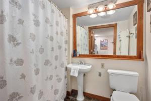ein Badezimmer mit Toilette, Waschbecken und Spiegel in der Unterkunft RF222 Hot tub Heated garage Parking in Snowshoe + 34 Fotos