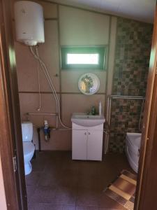 a bathroom with a sink and a toilet at House in nature in Varėna