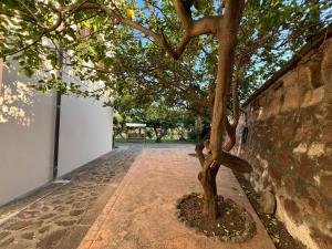 Kép Exclusive Riverside House in the Center of Bosa - Private Garden and Parking" Bosa Apartments szállásáról Bosában a galériában